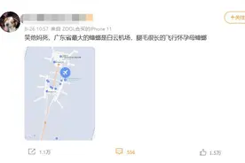 “广东最大蟑螂白云机场”上热搜，官方下场解释“蟑螂腿”图片