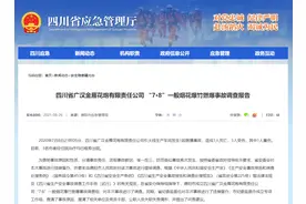 四川省广汉金雁花炮有限责任公司“7·8”一般烟花爆竹燃爆事故调查报告图片