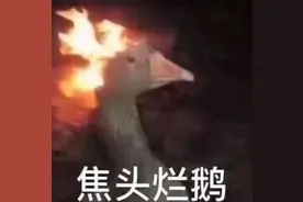 真·醉了！佛山一准新郎婚前“不安分”，情绪失控做出惊人举动……图片