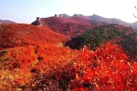 长城脚下有个“扫地僧”，这是他的故事图片