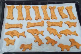 给汪星人的小饼干狗狗爱吃的喷香磨牙棒图片