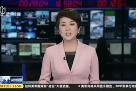 上海：部分赴英人员签证出现拖延  特别加急8821元也“打水漂”视频封面