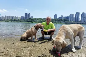 眼里容不下一丁点儿垃圾，株洲两只狗狗酷爱下水捡垃圾图片