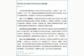 外出务工农村劳动力 贵州这些政策帮你返乡就业图片