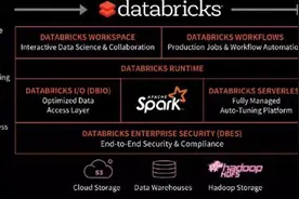 这家“湖仓一体”公司H轮融16亿美元，估值380亿美元图片