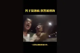 视频：男子发酒疯马路中间拦车，打人袭警被刑拘图片