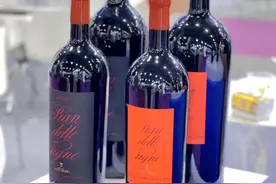 一文读懂进口酒类标签的小秘密图片