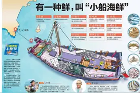 小船海鲜上岸记｜一人一扁舟 一网一海鲜！记者7小时见证海鲜从捕捞到上岸全过程图片