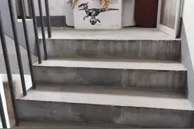 小区住户常年喂养流浪猫，楼梯间一片狼藉，气味难闻！流浪动物问题究竟怎么“破”？图片