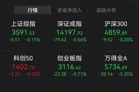 创投概念股满屏涨停！两大板块成“最靓的仔”，“黑马”5天翻倍图片