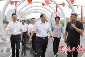 杨懿文在桃源调研时强调：继续当好县域经济发展排头兵 在奋力建设现代化新常德中彰显新担当图片