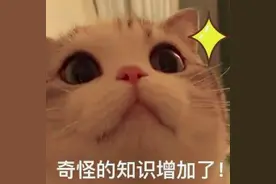 种瓜得瓜，种手得手！26岁小伙肚子里“长”出一截手指……图片