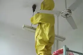 我为群众办实事｜开学季马蜂筑巢“霸占”教师宿舍，“蓝朋友”来解决图片