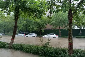雨一直下！周口城区多处出现积水 全市最大降雨量在这儿图片