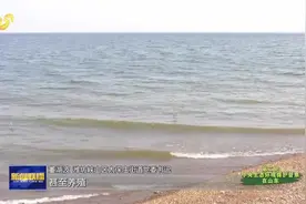 「第二轮中央生态环境保护督察在山东」潍坊峡山水库：昔日“老大难”变身生态样板图片