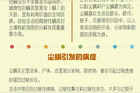小尘螨 大危机 五招教你对付史上最难缠的过敏原图片