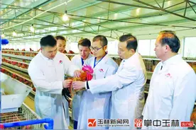 山沟沟里孵出“金凤凰”图片