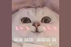 南医大、南财、南审……又有一大批江苏高校确定返校时间！还有高校国庆放几天也定了图片