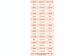349家深圳A股公司政府补助近百亿，比亚迪是“王者”⎥2021年中报里的深圳经济④图片