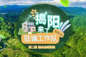 调研足迹满海滨，高质量帮扶奏响靖海乡村振兴曲｜镇上来了工作队②图片