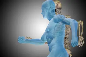 脏器挪了地儿，后果很严重图片