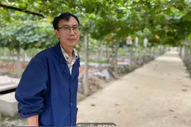网传葡萄蘸药视频，“药水”葡萄还能放心吃吗？葡萄那些事，今天全揭秘图片