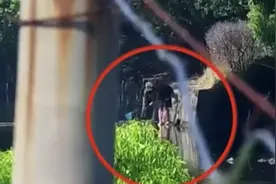 致命操作！男子禁渔区下毒 只为捕虾补身体……图片