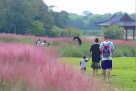 千万别错过！9月，南昌这些美景即将上线图片