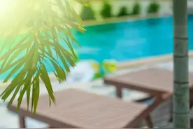 夜读 | 为什么要点赞他人？这是我见过最真实的回答图片