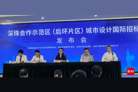 多部门权威解读！深珠合作示范区如何建？亮点在哪儿？图片