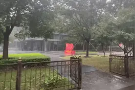 上海：中小学幼儿园今下午、明全天停课 多个景区将临时关闭