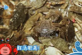 威海海鲜自助小火锅：海的味道一口“直达”图片