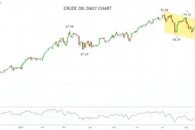 中石油年内大涨三成！供给侧短缺下，油价再逼近80美元图片