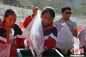 金沙江上游最大鱼类增殖放流站将25万尾鱼苗放流金沙江图片