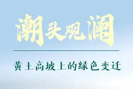 潮头观澜｜黄土高坡上的绿色变迁图片