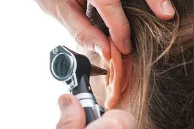 耳朵进虫，不要乱滴油图片