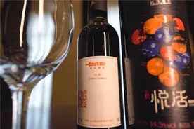 「葡萄美酒新疆好」深耕天山南麓 “酿造”北纬44°的浪漫图片