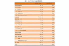 《中国保险业风险评估报告2021》：保险业整体稳健运行 多重风险不容小觑图片