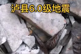 青年赶去泸县救援，乱石堆中救出两条小奶狗图片