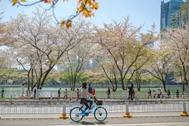 哈啰出行成立五周年，CEO杨磊：感恩时代图片