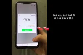 教你点外卖怎样使用湖北省餐饮消费券视频封面