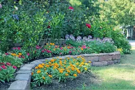 中秋佳节来临，上海植物园游园赏花指南看过来图片