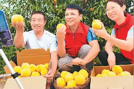 农村土特产搭上了电商快车图片