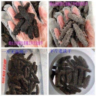 干海参怎么做 2026年干海参怎么做才好吃