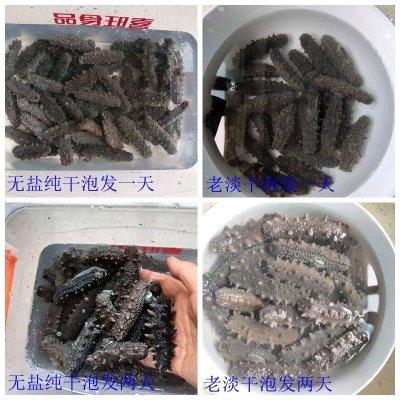 干海参怎么做 2026年干海参怎么做才好吃