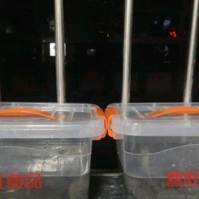 干海参怎么做 2026年干海参怎么做才好吃