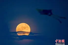 “十五的月亮十五圆”图片