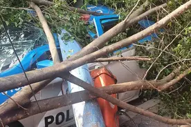 巴西里约热内卢遭强风袭击 城铁一度停运 跨海大桥关闭图片