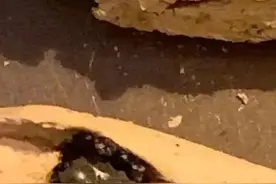 痛别！老人离世，骨灰里捡出9块手雷弹片……图片