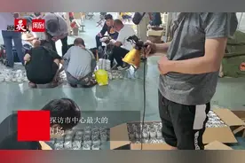 市中心最大蟋蟀交易市场，上海爷叔摆摊头卖本地油葫芦，白相蟋蟀也算是一种文化？图片